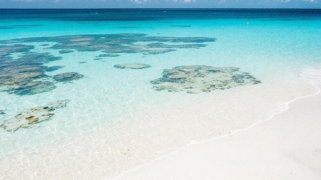 Okinawa Ryokan Guide: Traditional Stays in Japan's Tropical South