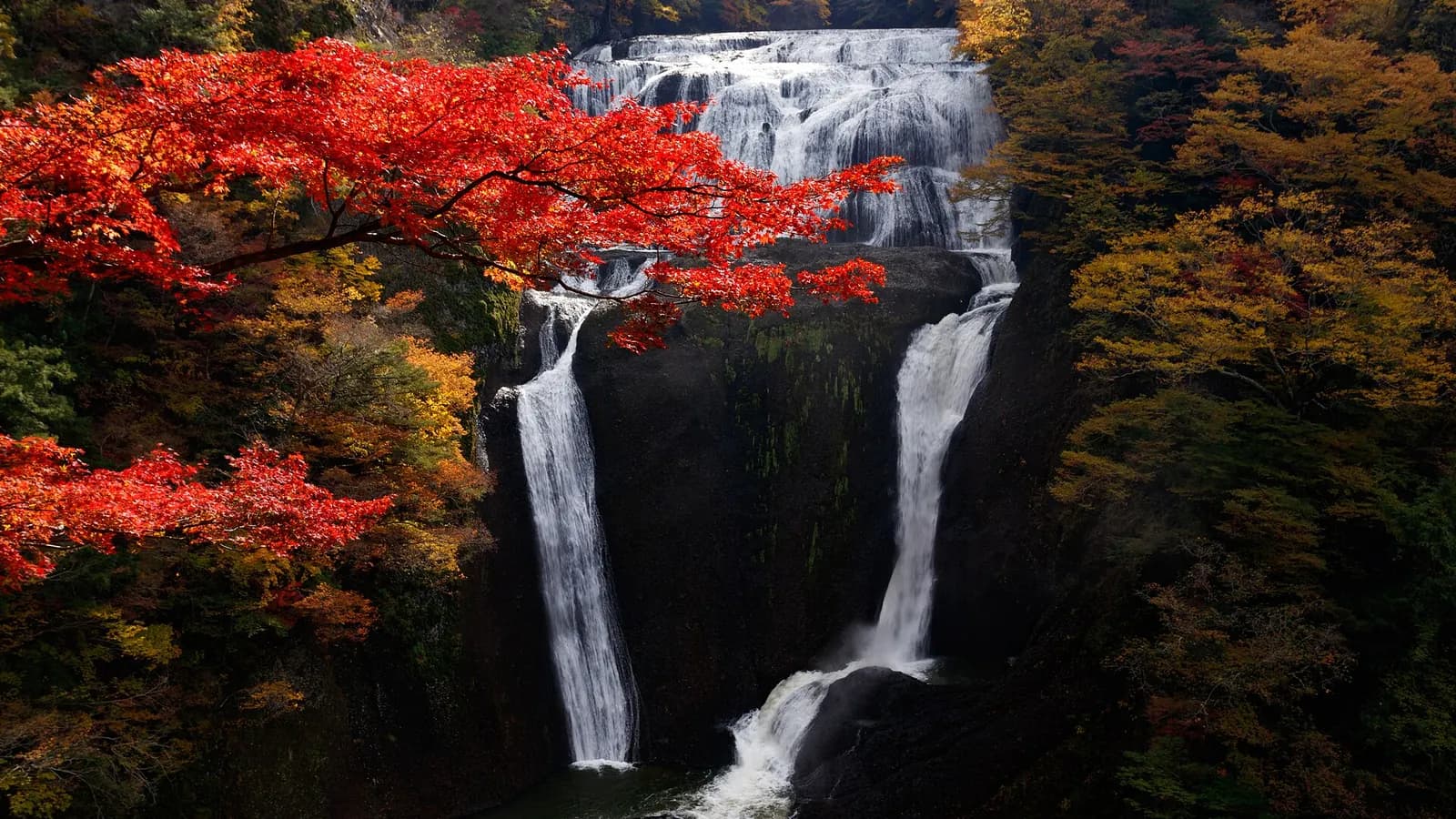 Best Ryokans in Ibaraki: Onsen, Plum Blossoms, and the Pacific Coast