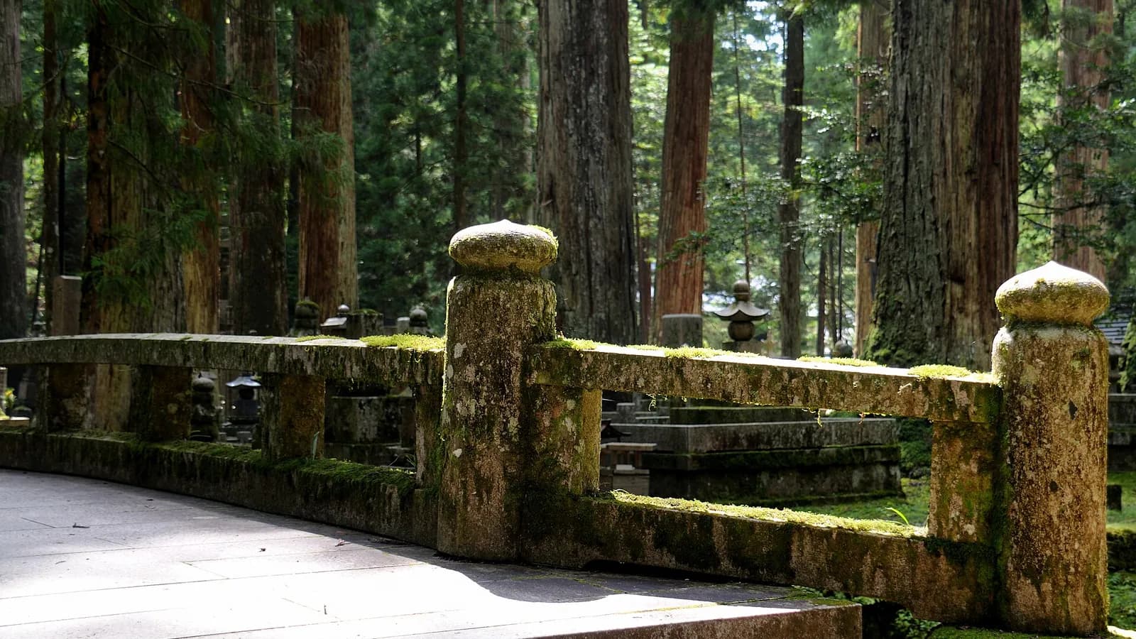 Best Ryokans in Wakayama: Koyasan Temple Stays & Shirahama Onsen