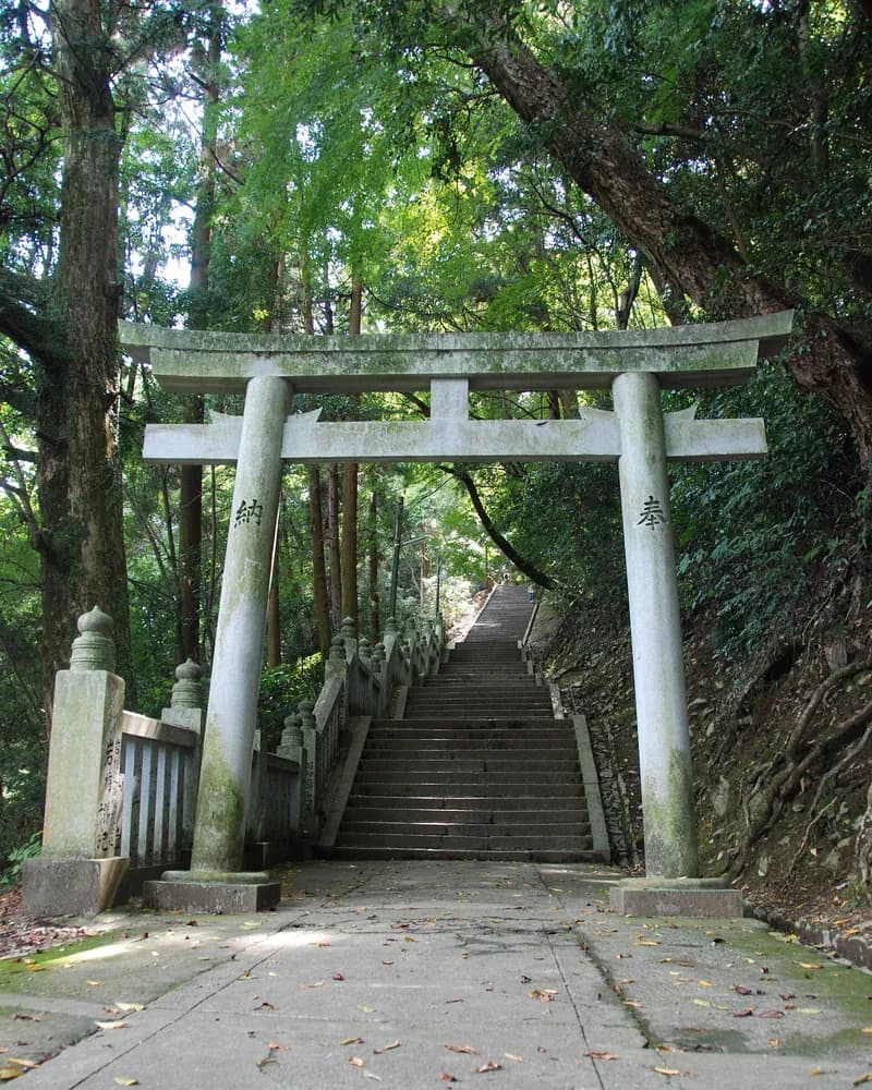 A stone torii and steps climbing through forest towards the inner shrine of Kotohira-gu