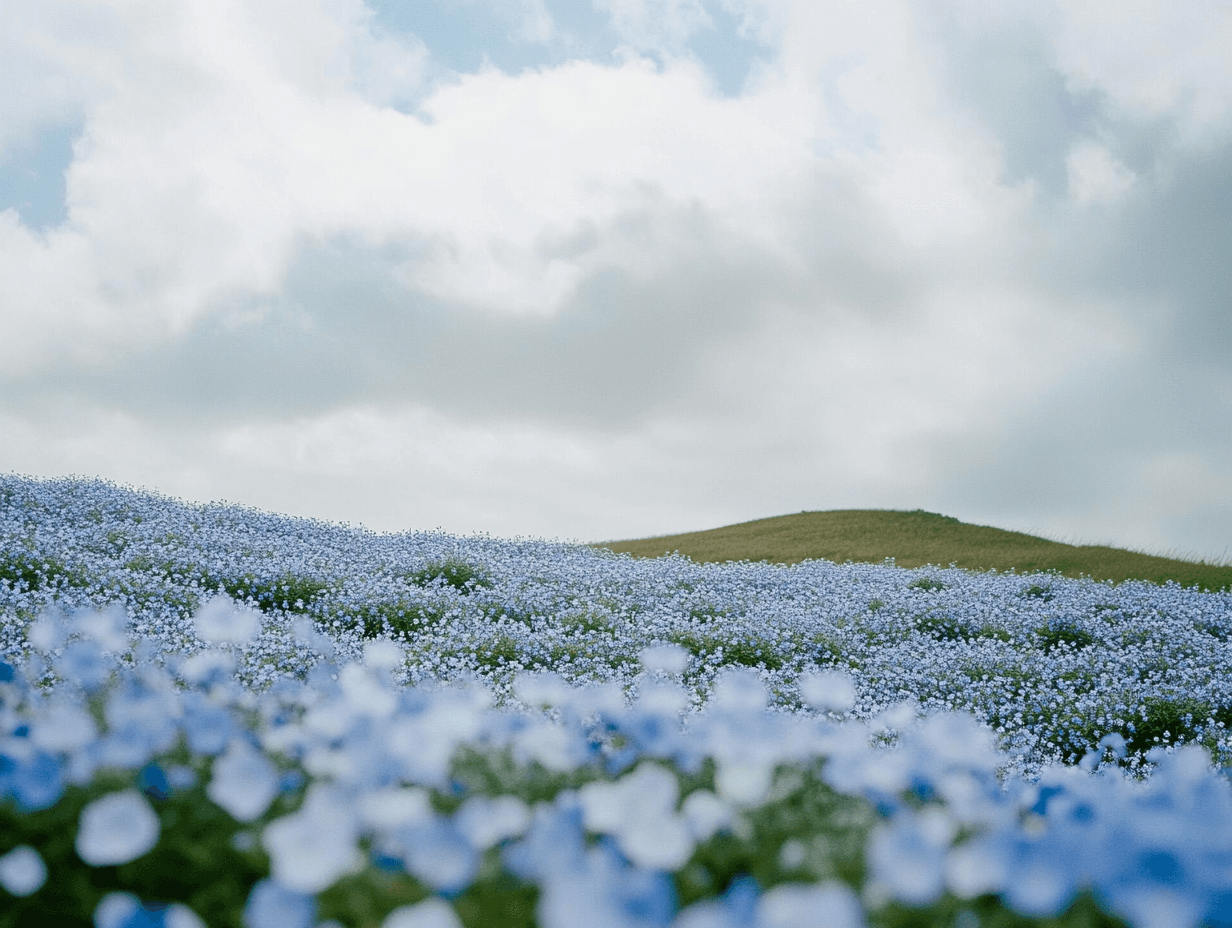 Best Ryokans in Ibaraki: Onsen, Plum Blossoms, and the Pacific Coast