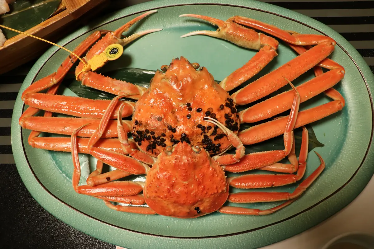 A boiled male and female Echizen snow crab served on a plate in Fukui