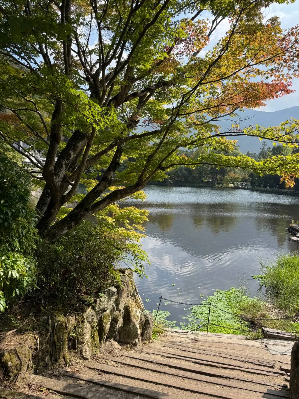 Lake Kinrin framed by maple branches just starting to turn red, with hills behind